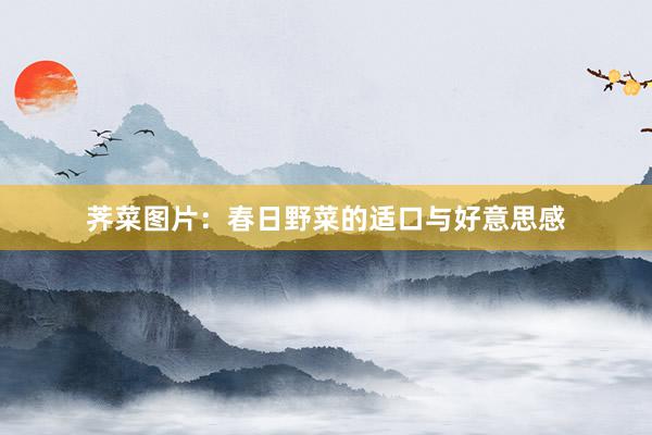 荠菜图片：春日野菜的适口与好意思感
